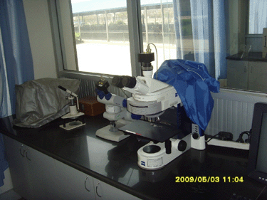 德国蔡司金相显微镜